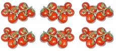 Tomaten-6x7B.jpg
